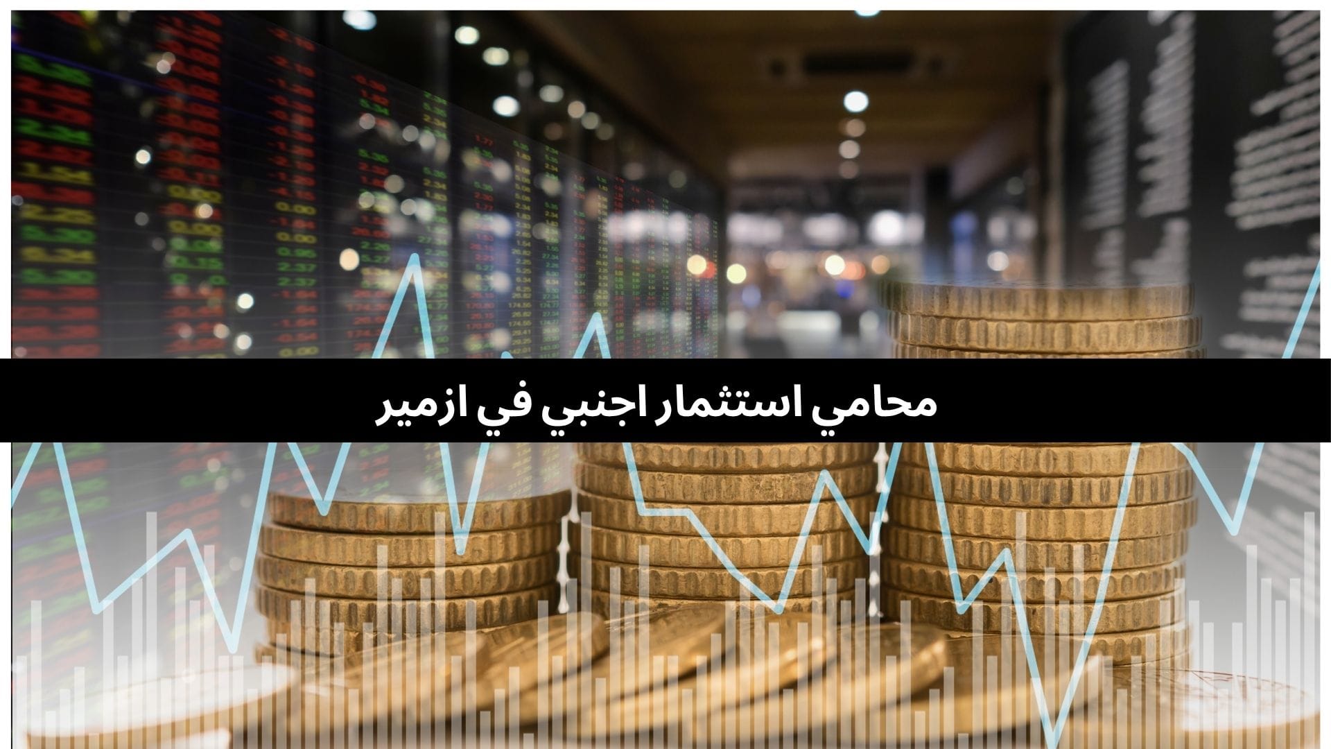 محامي استثمار اجنبي في ازمير